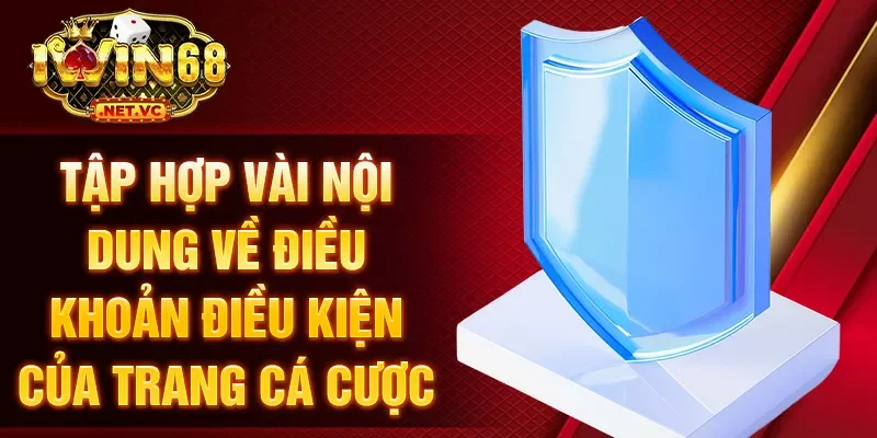 Tập hợp vài nội dung về điều khoản điều kiện của trang cá cược
