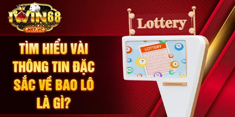 Tìm hiểu vài thông tin đặc sắc về bao lô là gì?