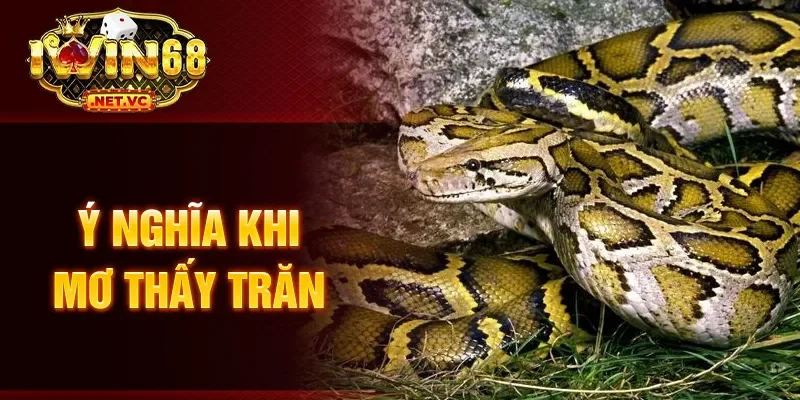 Ý nghĩa khi mơ thấy trăn