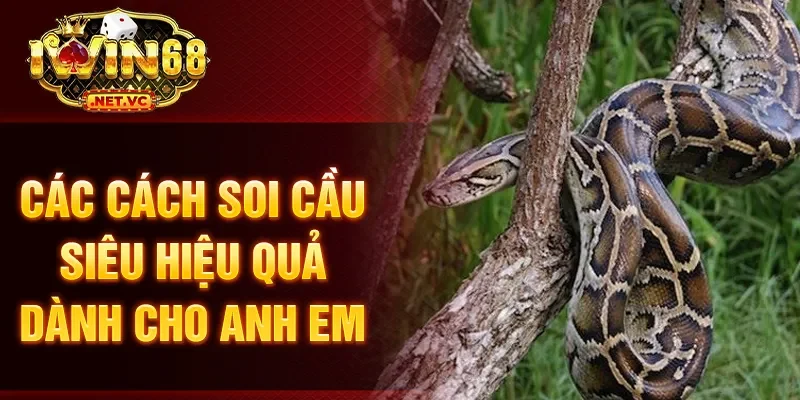 Các cách soi cầu siêu hiệu quả dành cho anh em